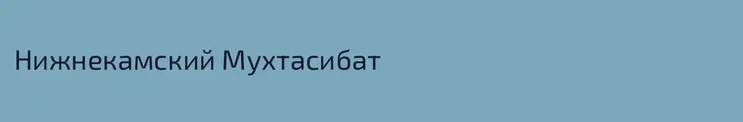 Нижнекамский Мухтасибат